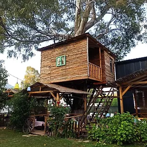 Daidala Life Göcek
